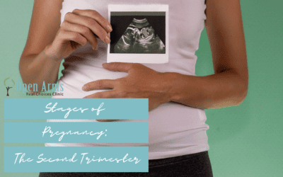 The Stages of Pregnancy – The Second Trimester