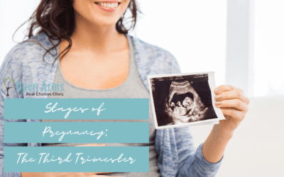 The Stages of Pregnancy – The Third Trimester