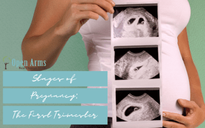 The Stages of Pregnancy – The First Trimester