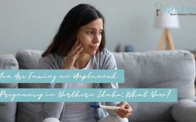 You Are Facing an Unplanned Pregnancy in Northern Idaho: What Now?