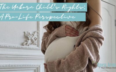 The Unborn Child’s Rights: A Pro-Life Perspective