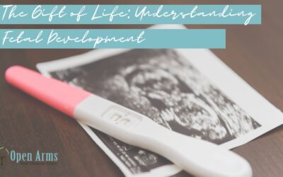 The Gift of Life: Understanding Fetal Development